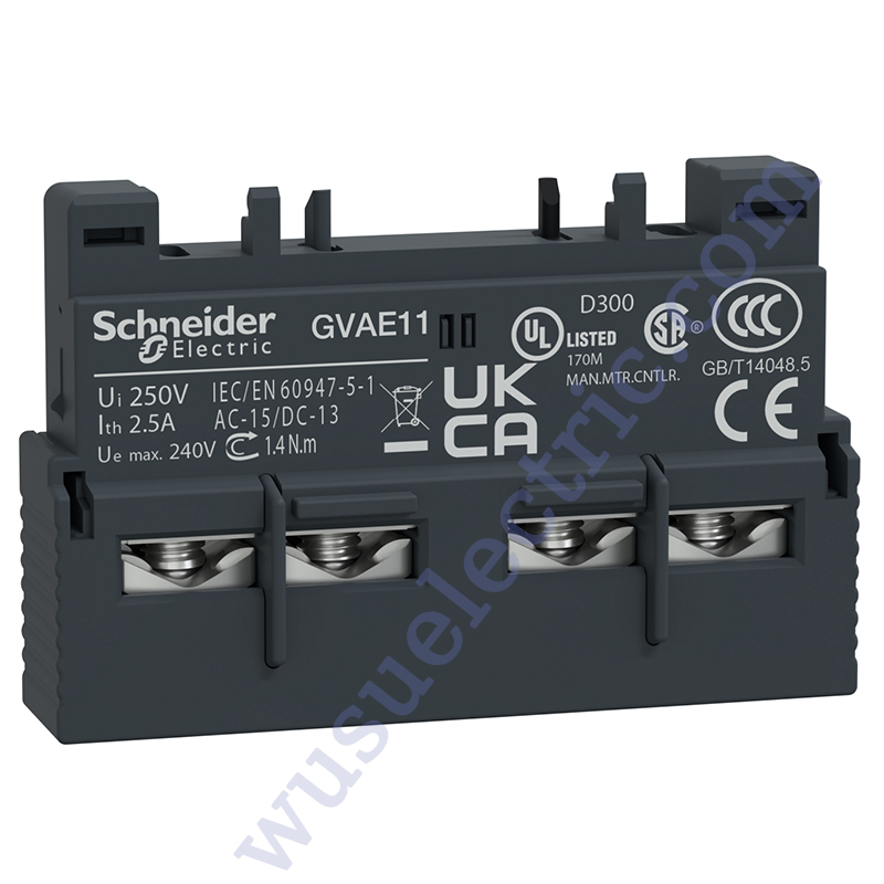 Schneider GVAE11