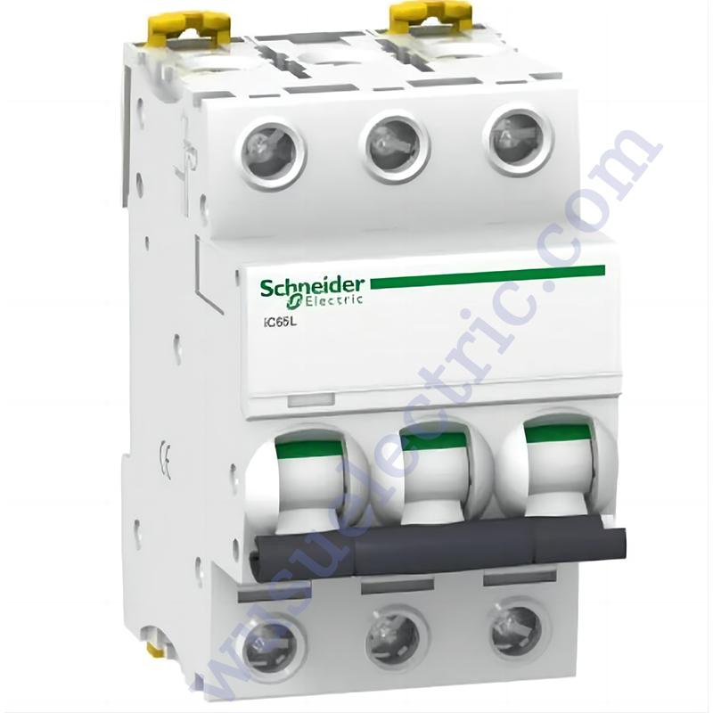 Schneider IC65L3P16A