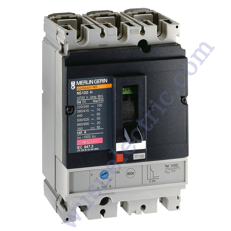 Schneider NS100N-TM100D-3D3T
