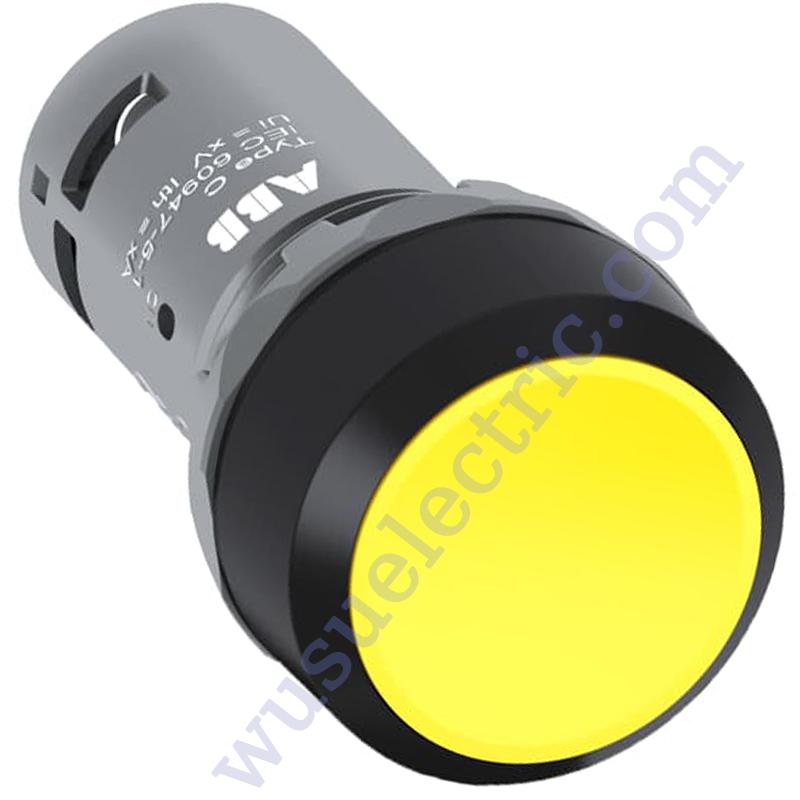 ABB  CP1--10Y-10